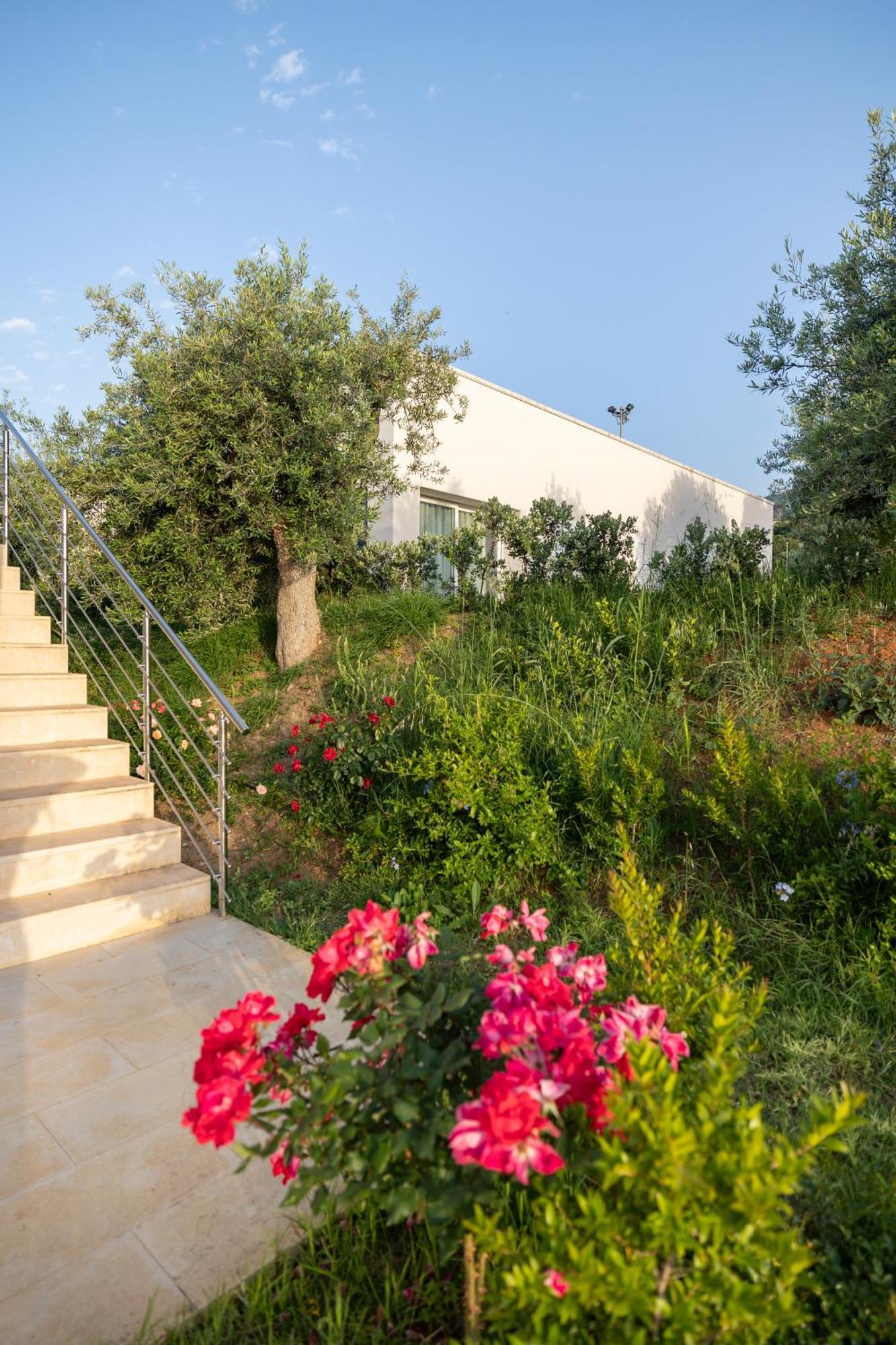 Aura Maris Beach Residence Mazzaforno Cefalù Εξωτερικό φωτογραφία